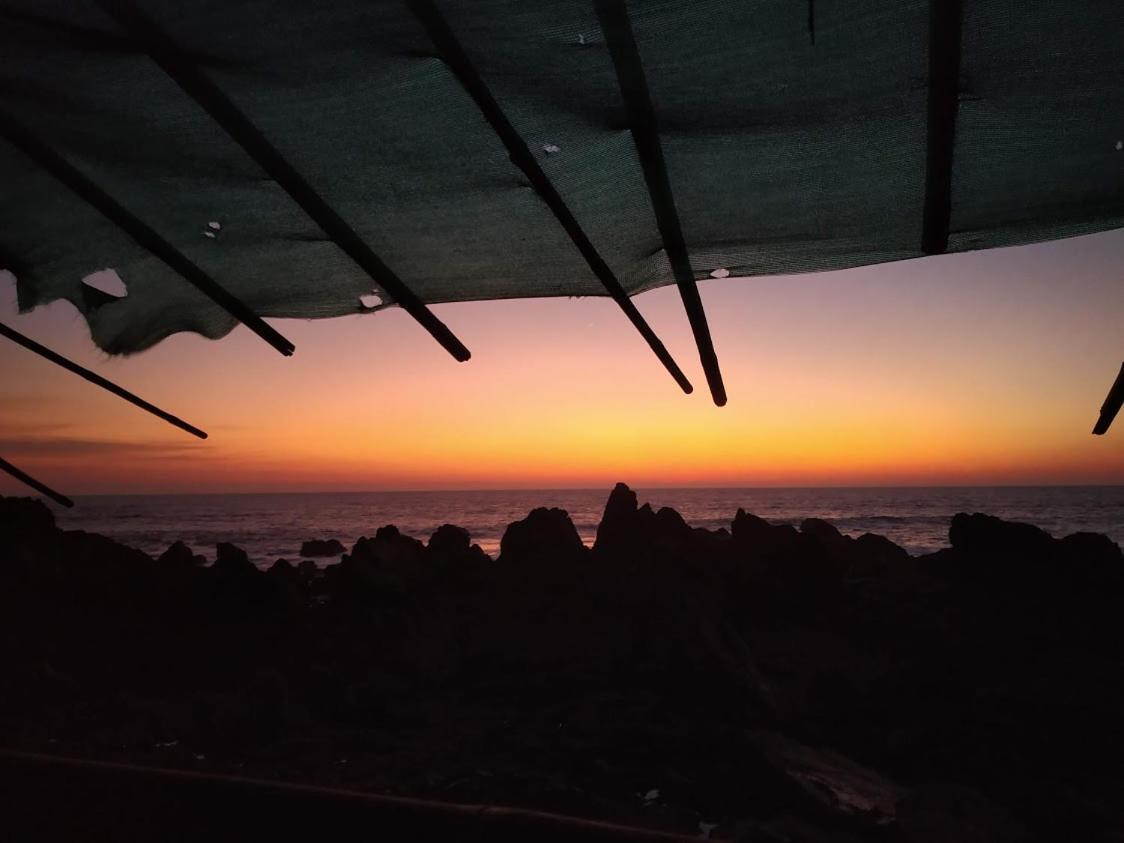21Coconuts Inn Arambol Εξωτερικό φωτογραφία